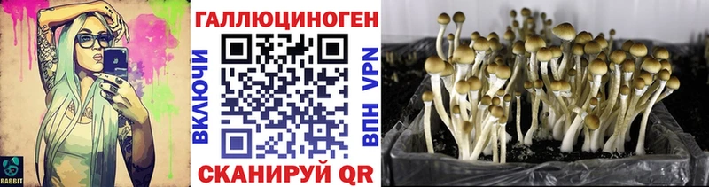 как найти закладки  Семикаракорск  Псилоцибиновые грибы MAGIC MUSHROOMS 