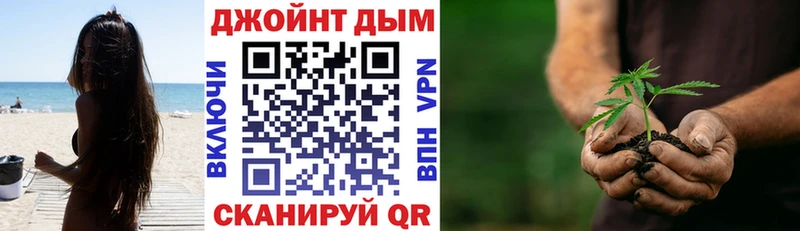 цена наркотик  Семикаракорск  сайты даркнета какой сайт  Бошки марихуана сатива 